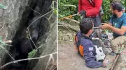 Cadela resgatada após três dias presa em fresta de rocha em Colatina