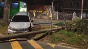 Carro colide contra árvore e interdita avenida em Campinas no sábado