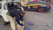 Casal é preso com 35 kg de maconha no porta-malas na BR-262 em MG