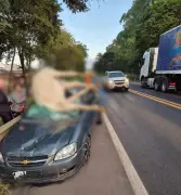 Cavalo morre após bater em carro na MG-050 em Pimenta
