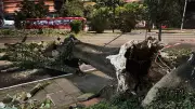 Chuva e vento forte causam estragos e transtornos no Rio Grande do Sul