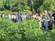 CNPq aprova projeto Farmácia Viva Amazônica para ampliar uso de plantas medicinais no SUS