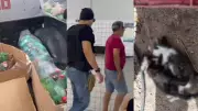 Comerciante preso por venda ilegal de veneno no Piauí é solto após fiança