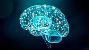 Como prevenir o envelhecimento do cérebro: dicas de um neurocientista