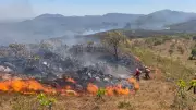 Defesa Civil de SP alerta para alto risco de incêndios entre junho e outubro