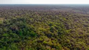 Desafio Bioinovação Amazônia busca transformar biodiversidade em negócios globais