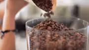 Dia Nacional do Café: produtores do DF compartilham desafios e dicas para um café de qualidade