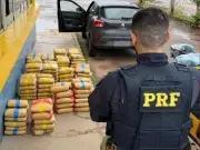 Dois homens presos com 175 kg de skunk na BR-364 em Rio Branco