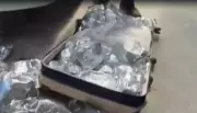 Dois presos com 60 kg de maconha e drogas sintéticas em Lauro de Freitas