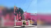 Estilista Fabia Roza vive em casa cor-de-rosa que também é seu ateliê em Sorocaba