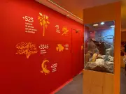 Exposição no Butantan desvenda riqueza da Caatinga e combate estereótipos