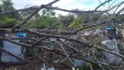 Família denuncia abandono e ossadas expostas no Cemitério São José em Santarém