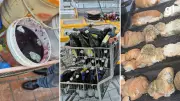 Fiscalização apreende 5 toneladas de produtos vencidos em três mercados de Ijuí