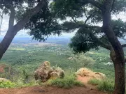 Flona do Araripe-Apodi celebra 80 anos com trilhas inclusivas e novas atrações