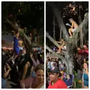 Fãs sobem em árvores para ver show de Shakira em Copacabana