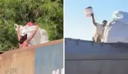 Furto de soja de trem em movimento: 5 presos em Campinas