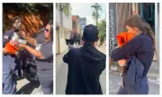 Gata desaparecida em explosão no Jaguaré é resgatada e reencontra tutor