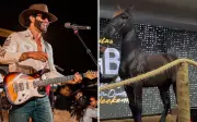 Gusttavo Lima leiloa cavalo por R$ 1,2 milhão e doa valor a hospital oncológico