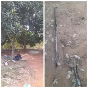 Homem morre eletrocutado ao colher abacates com foice metálica em MG