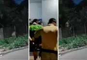 Homem preso em cemitério com marcas de mordida após matar pitbull em Porto Nacional
