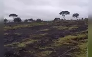 Incêndio atinge 4 hectares em Itaí e é extinto após duas horas de combate