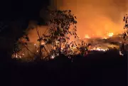 Incêndio de grandes proporções atinge ecoponto em Três Lagoas