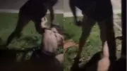 Influenciadora é agredida pelo namorado em condomínio de luxo no Eusébio