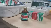 Influenciadora Gabriela Gadelha e namorado presos por tráfico de drogas no AM