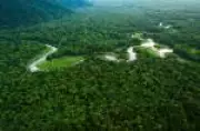 Integridade por Design: Fundo Amazônia como exemplo contra corrupção no Brasil