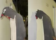 Jovem fantasiado de dinossauro furta fios e é preso em Uberlândia