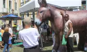 Jumento inflável gigante em Salvador conscientiza sobre abate do animal