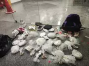 Mais de 3 mil pedras de crack são apreendidas em Itatiaia, RJ