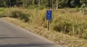Motorista morre após carreta com ração tombar na BR-040 em Juiz de Fora