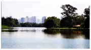 Mulher é encontrada morta seminua perto do Parque Ecológico do Tietê