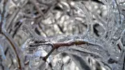 Neve no Brasil? Massa polar pode trazer fenômeno neste fim de semana