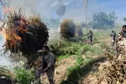 Operação conjunta Brasil-Paraguai apreende 809 toneladas de maconha