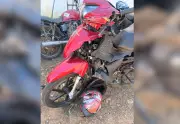 Pé humano encontrado na BR-010 pode ser de vítima de acidente