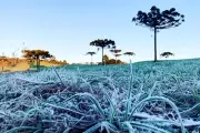 Paraná sob alerta de geadas e tempestades no fim de semana do Dia das Mães