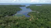Pesquisa revela sobrepesca de tambaqui e mapará no Tapajós, Pará