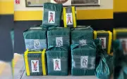PF apreende 532 kg de cocaína com embalagens de Goku e Rolls-Royce