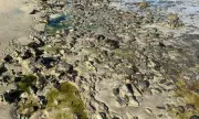 PF investiga poluição química na Praia de São Tomé de Paripe, em Salvador