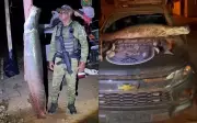 Pirarucu de 100 kg apreendido em Bonópolis por pesca ilegal