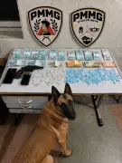 PM apreende munições, drogas, arma e R$ 16 mil em Montes Claros