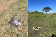 Polícia apreende linhas com cerol após morte de menina de 12 anos em SP