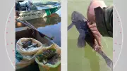 Polícia devolve peixes vivos ao rio após flagrar pesca predatória no Paraná