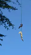 Policial é içado por helicóptero junto com crocodilo que devorou homem na África do Sul