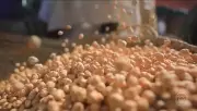 Preço global dos alimentos atinge maior nível em três anos com guerra no Oriente Médio