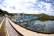 Queda de égua em adutora da Copasa afeta abastecimento em oito cidades da Grande BH