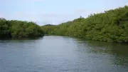 Rio Sirinhaém atinge cota máxima e cidades em alerta de inundação