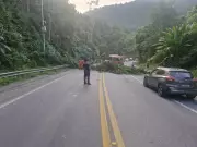 Árvore cai e interdita Rodovia Rio-Santos em Angra dos Reis